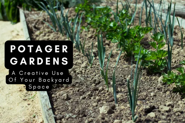 Potager Gardens - A Creative Use Of Your Backyard Space