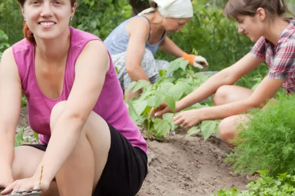 3 Reasons Home Gardens Fail