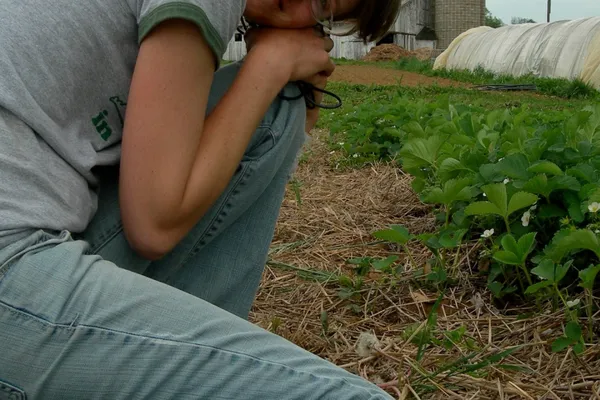 Memoirs of a Farm Girl