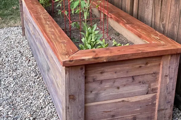 Garden Bed Restoration