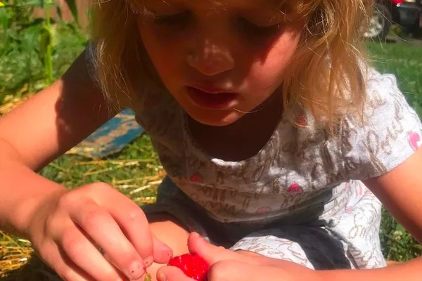 Private Gardening Lessons