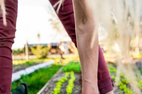 Freedom & Fascination