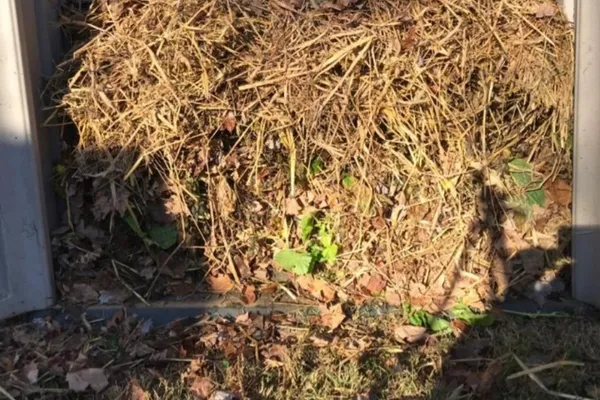 Composting 101 - Building Black Gold Soils