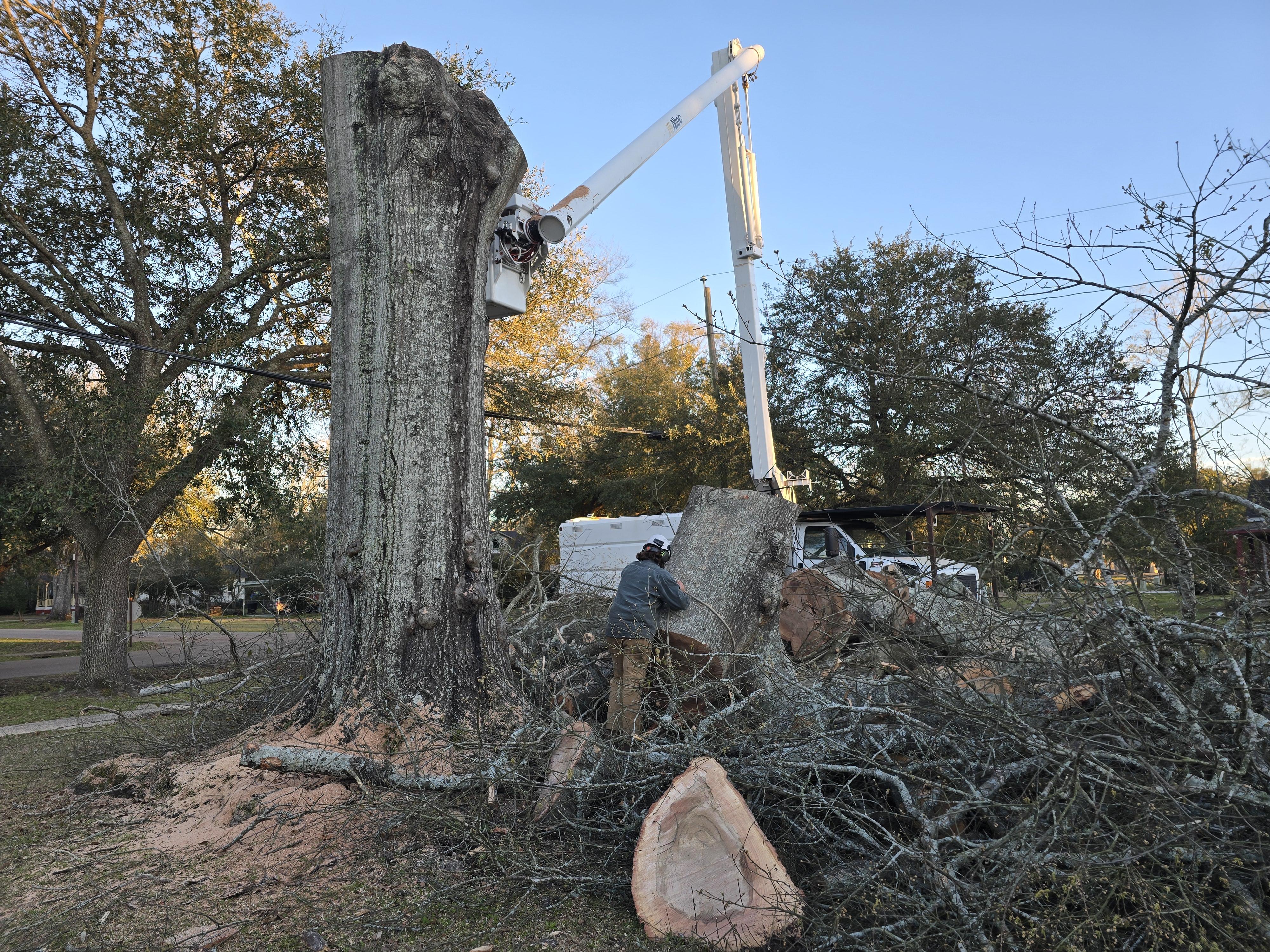 Emergency storm damage cleanup and fallen tree removal near Hammond and Ponchatoula.