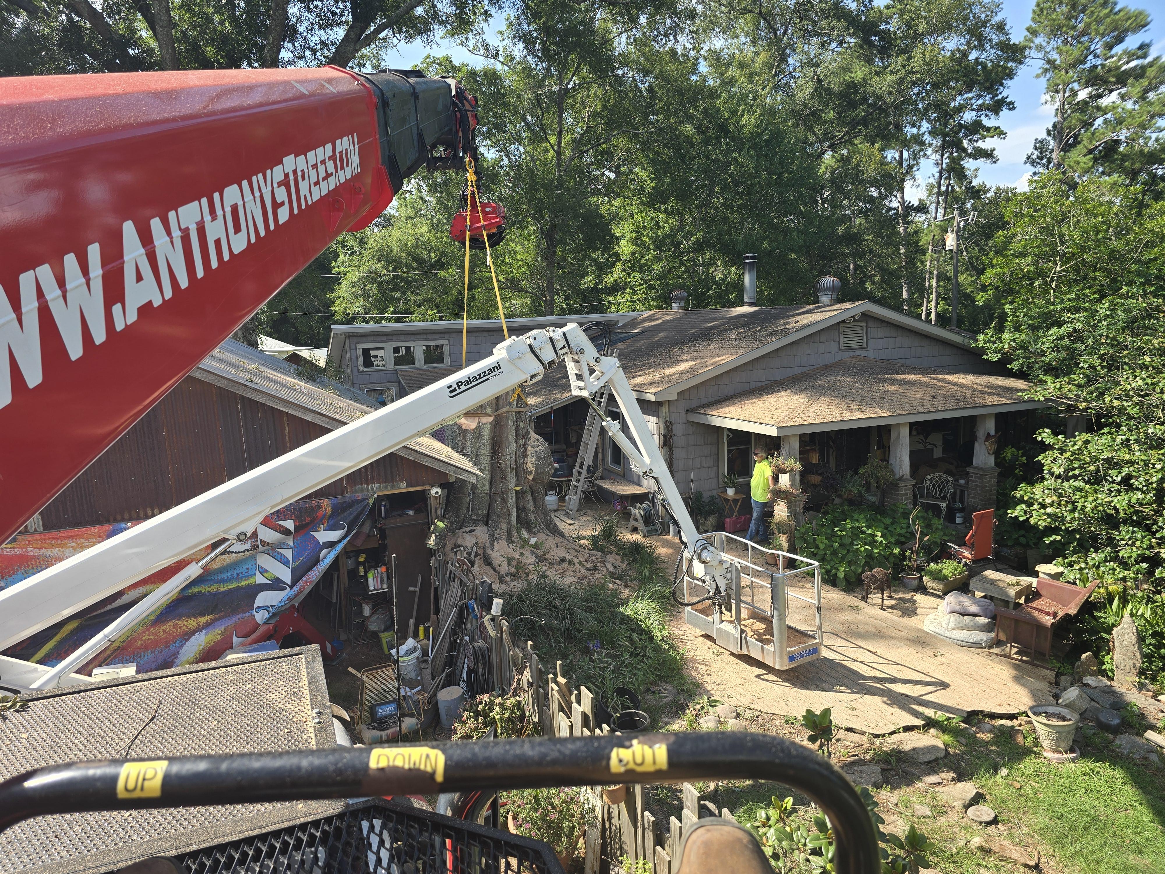 Safe residential tree removal and property protection in Ponchatoula and Tangipahoa Parish.