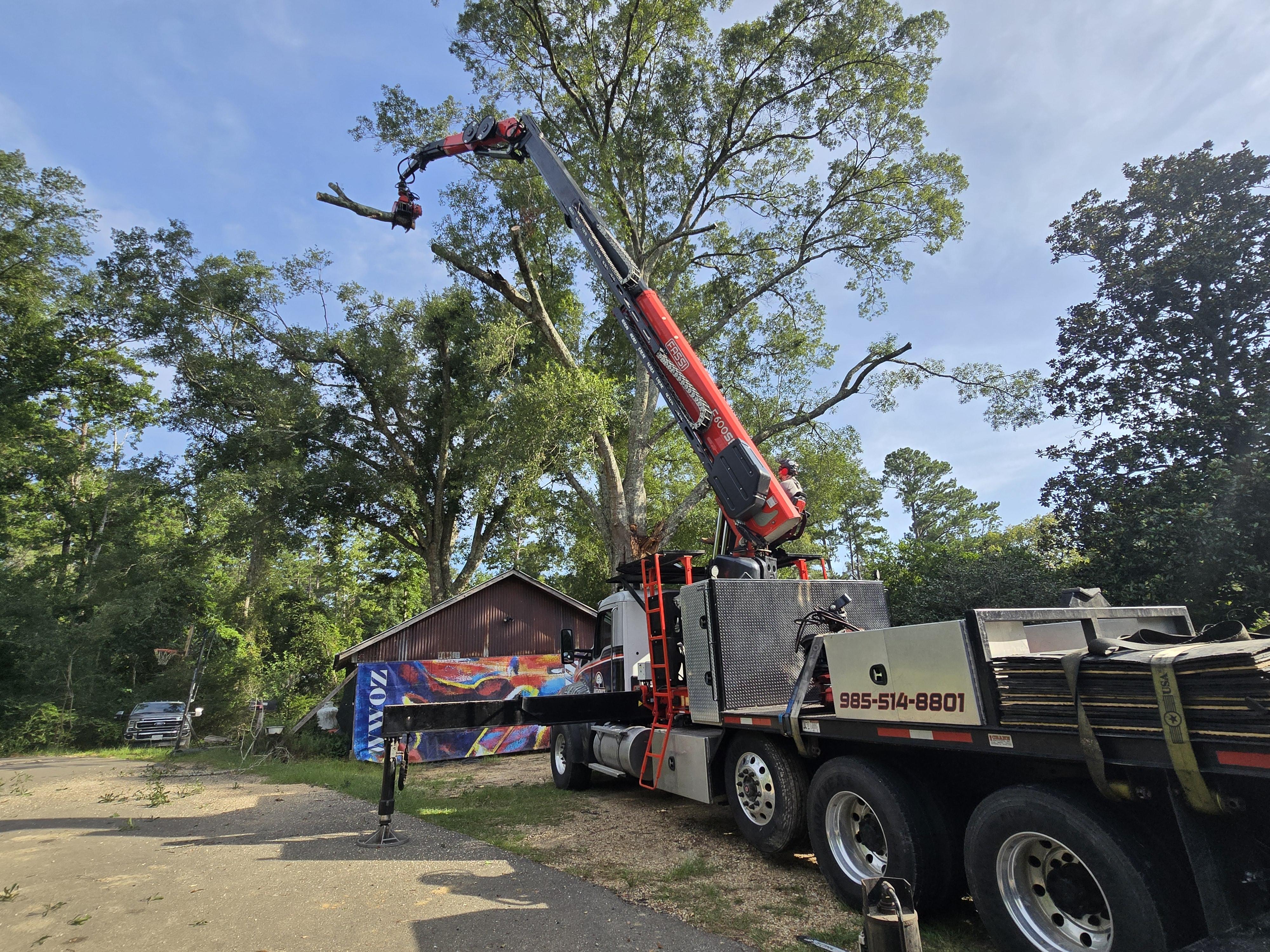 Commercial tree removal services for HOAs and business properties in Hammond and surrounding areas.