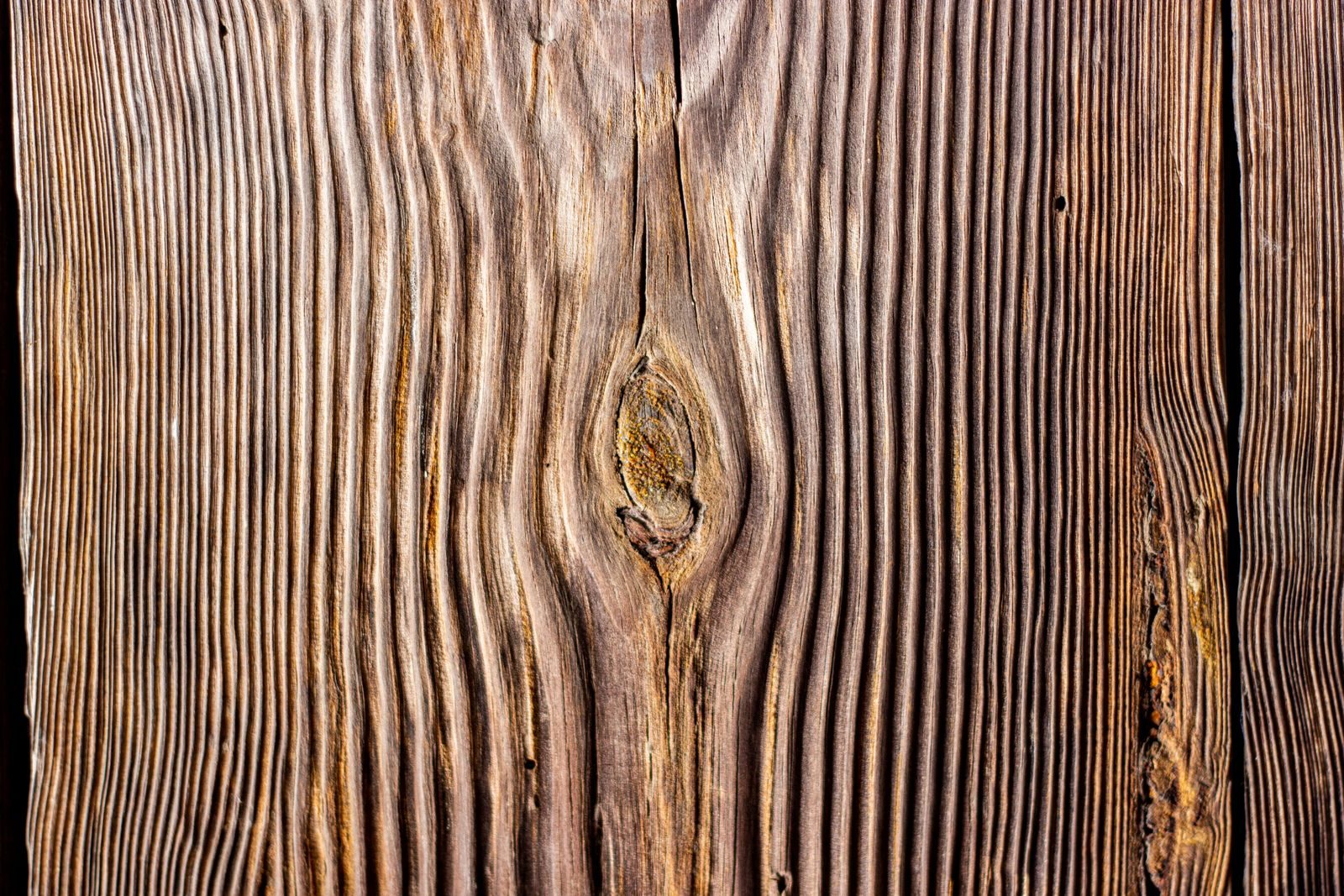Staining in Kansas City