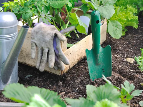 {{ custom_values.service_1 }} in {{custom_values.biz_area_1})