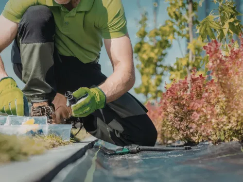 Mississauga Turf care