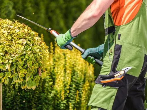 Gardening in Toronto