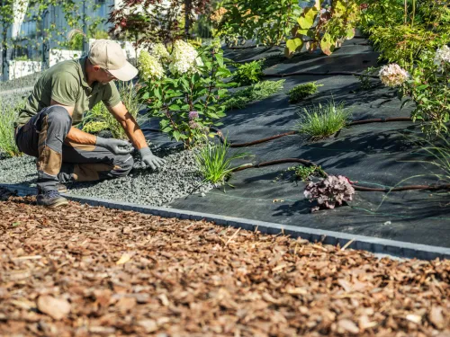 Gardening in Toronto