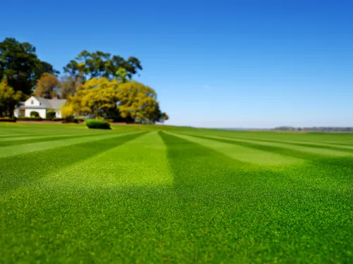 Mississauga Turf care