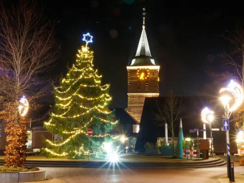 Gardening in Toronto