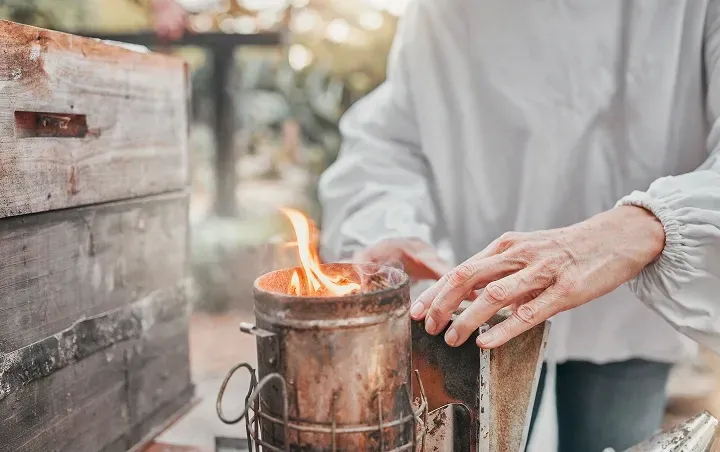 Traditional Flame Cremation