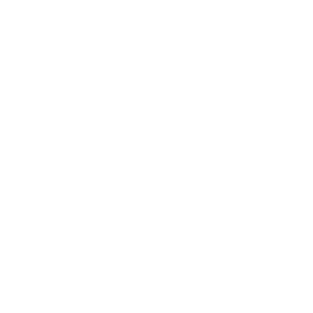 RSN Functional Nutrition Institute