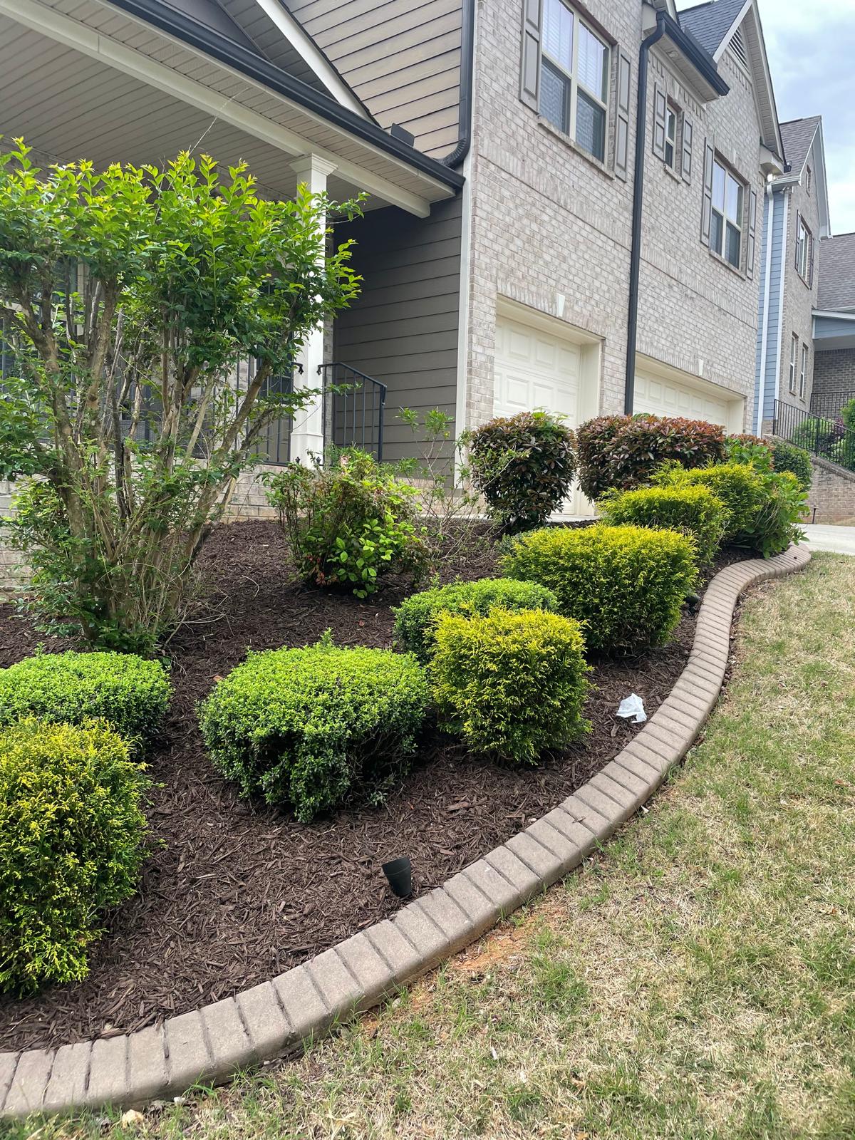 A lawn makeover with new mulch