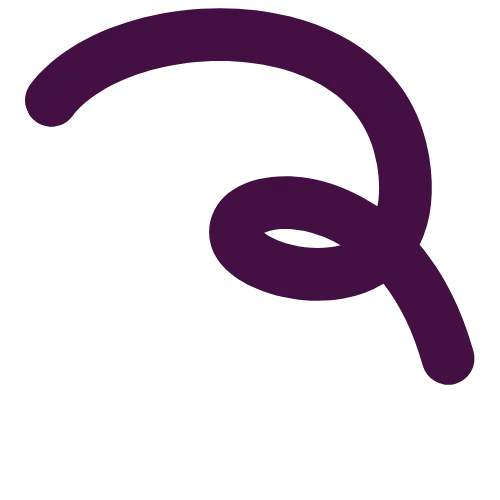 Suiggle icon