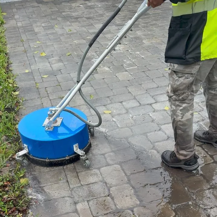 Royal Palm Beach Roof Soft Washing