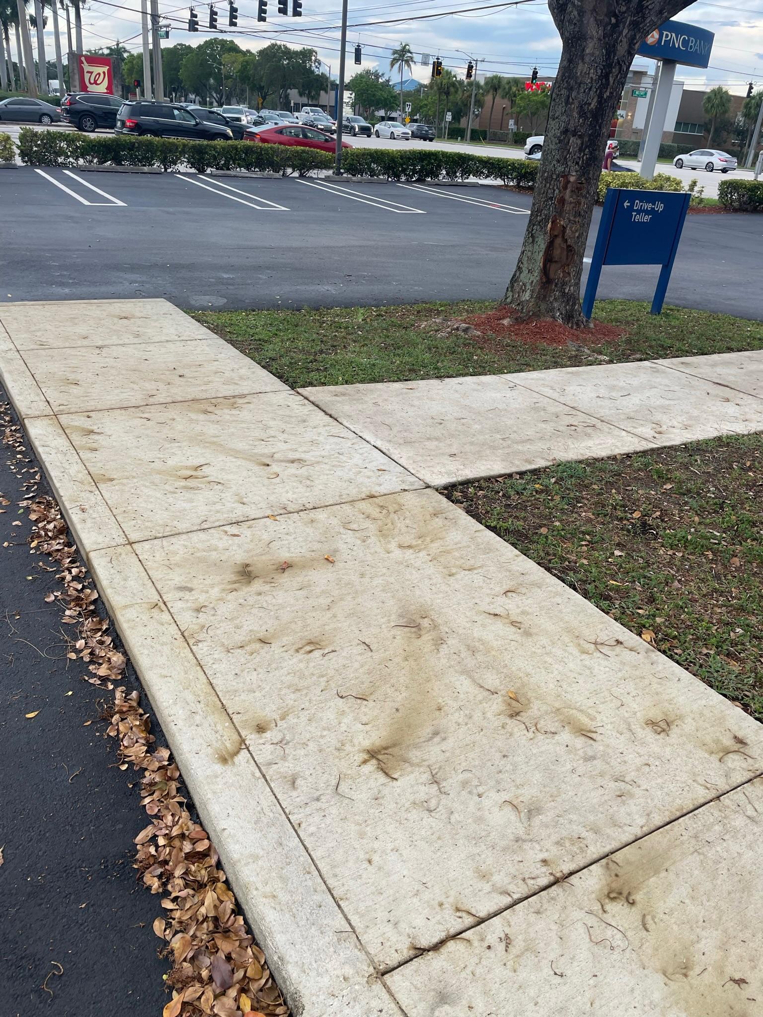 Delray Beach Commercial Pressure Washing
