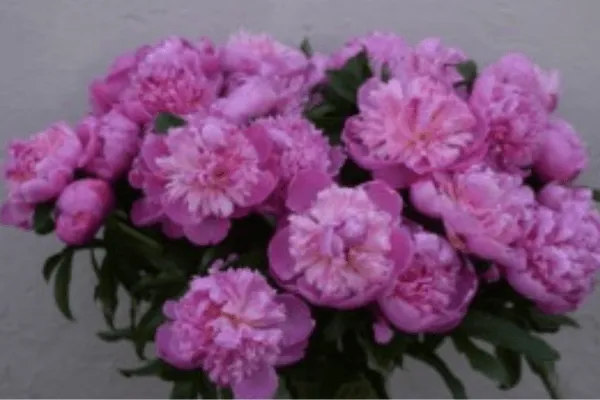 What if we talked about sex and love?