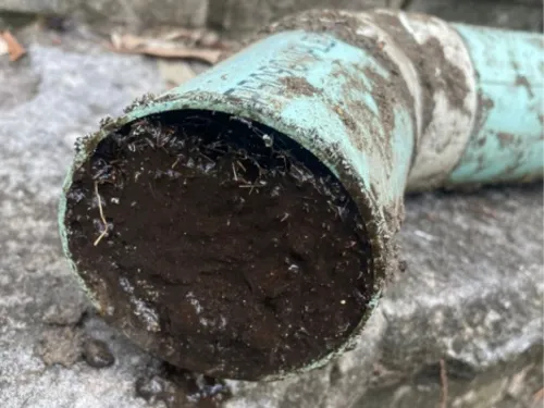 {{ custom_values.service_1 }} in {{custom_values.biz_area_1})