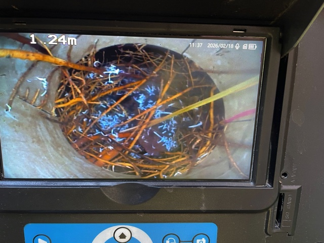 Avalon Beach CCTV Drain Inspection