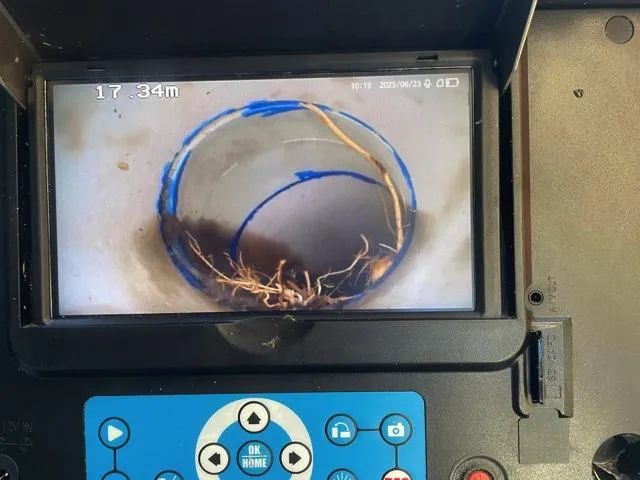 Whale Beach CCTV Drain Inspection