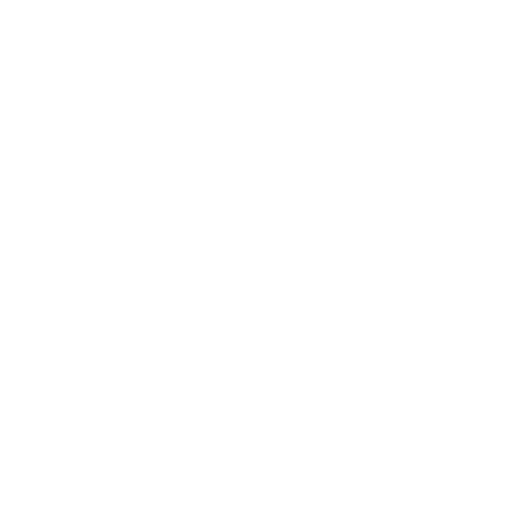 ANU Consulting LLC Logo