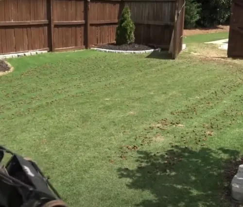 lawn aeration service