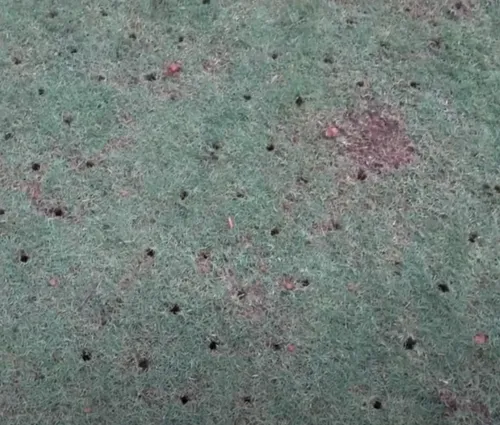 aeration service