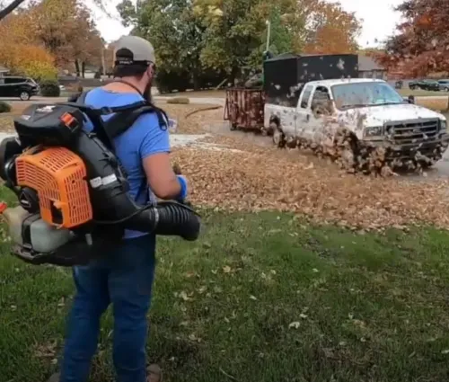 leaf blowing leaves