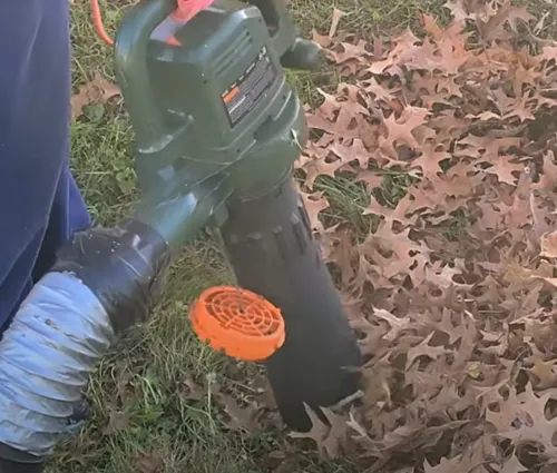 cleaning of leaves from lawn