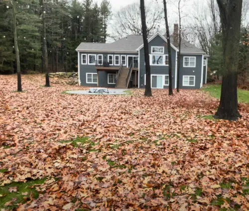 leaf cleaning job