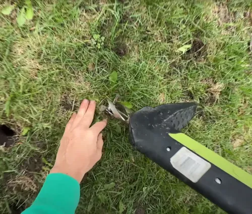manual weed pulling