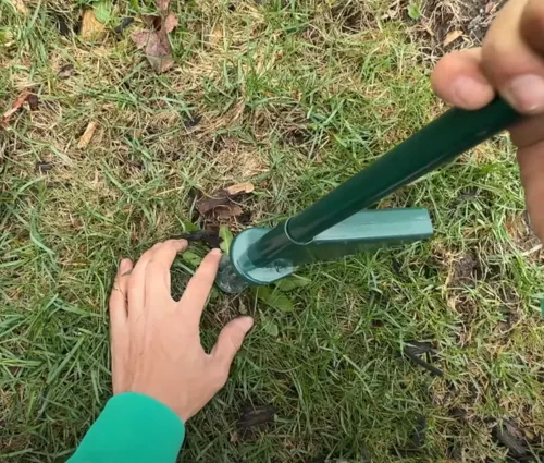 weed pulling service