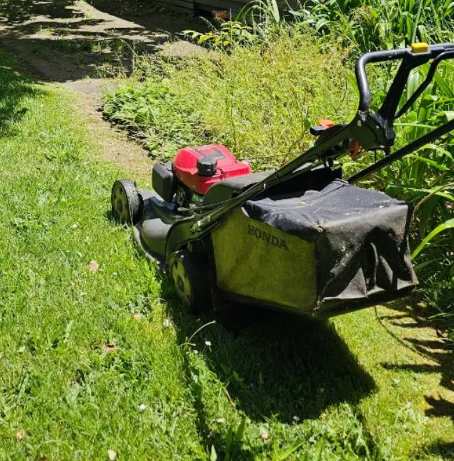 cutting tall grass at Houston house