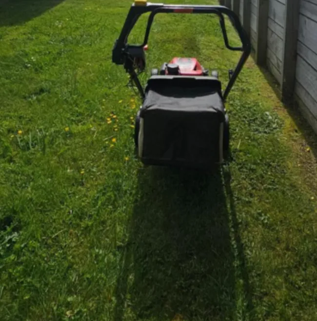 Houston backyard lawn mowing