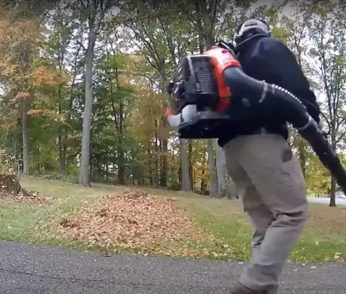 fall cleanup