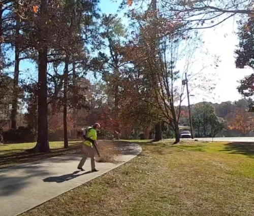 fall debris cleaning
