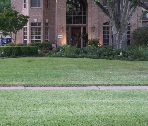 front yard with edge and lawn done