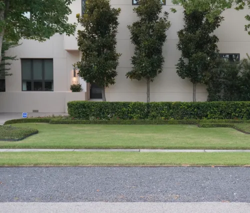Houston lawn care service on front yard