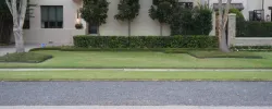Lawn Mowing