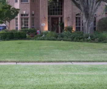 residential lawn mowing service