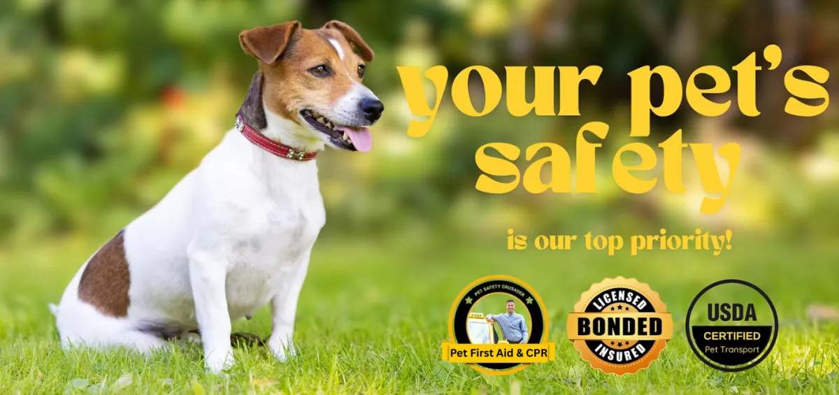 Your pet's safety is Petty Waggin's top priority - USDA certified, bonded, insured, Pet First Aid trained transport
