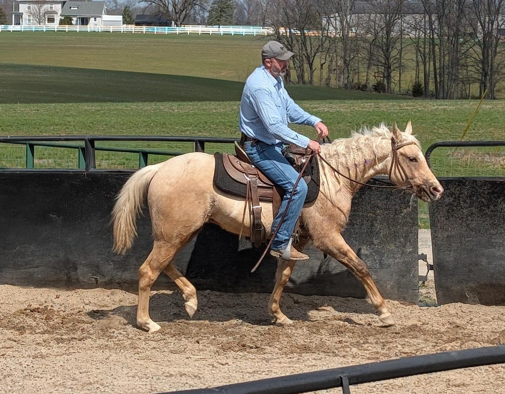 Colt Starting