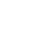 Google Map Taxshield service New Orleans