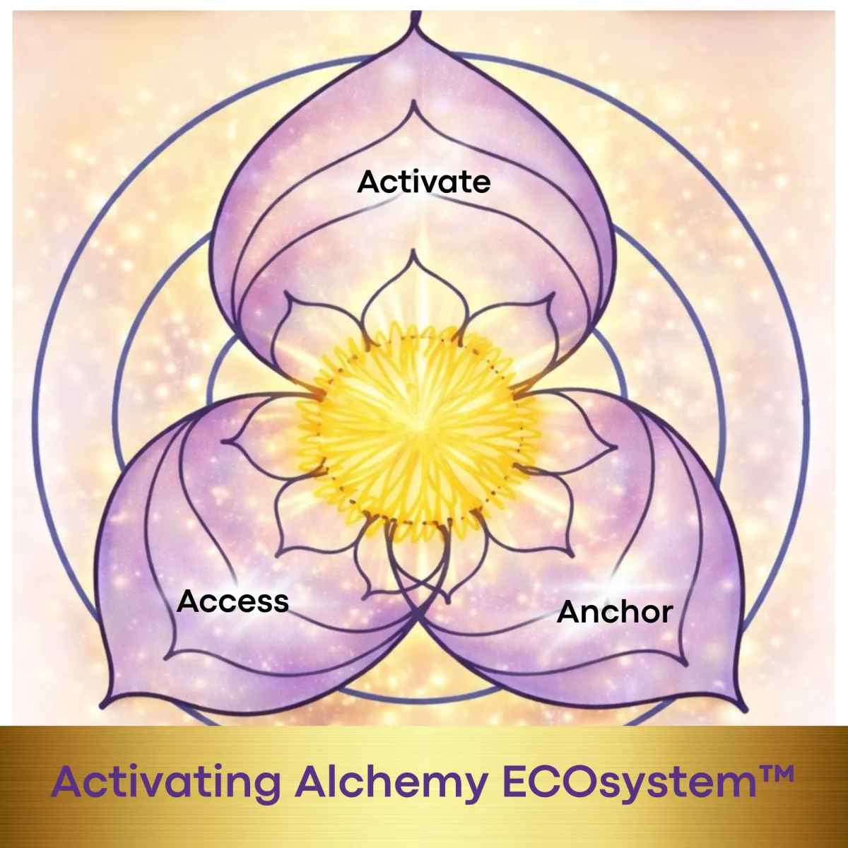 Diagram of the Activating Alchemy ECOsystem model