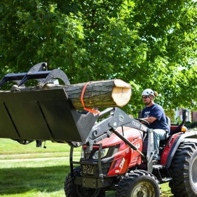 Tree Trimming Bremen