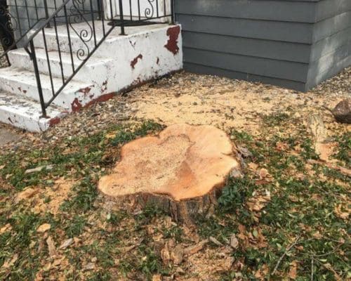 Nappanee Stump Grinding