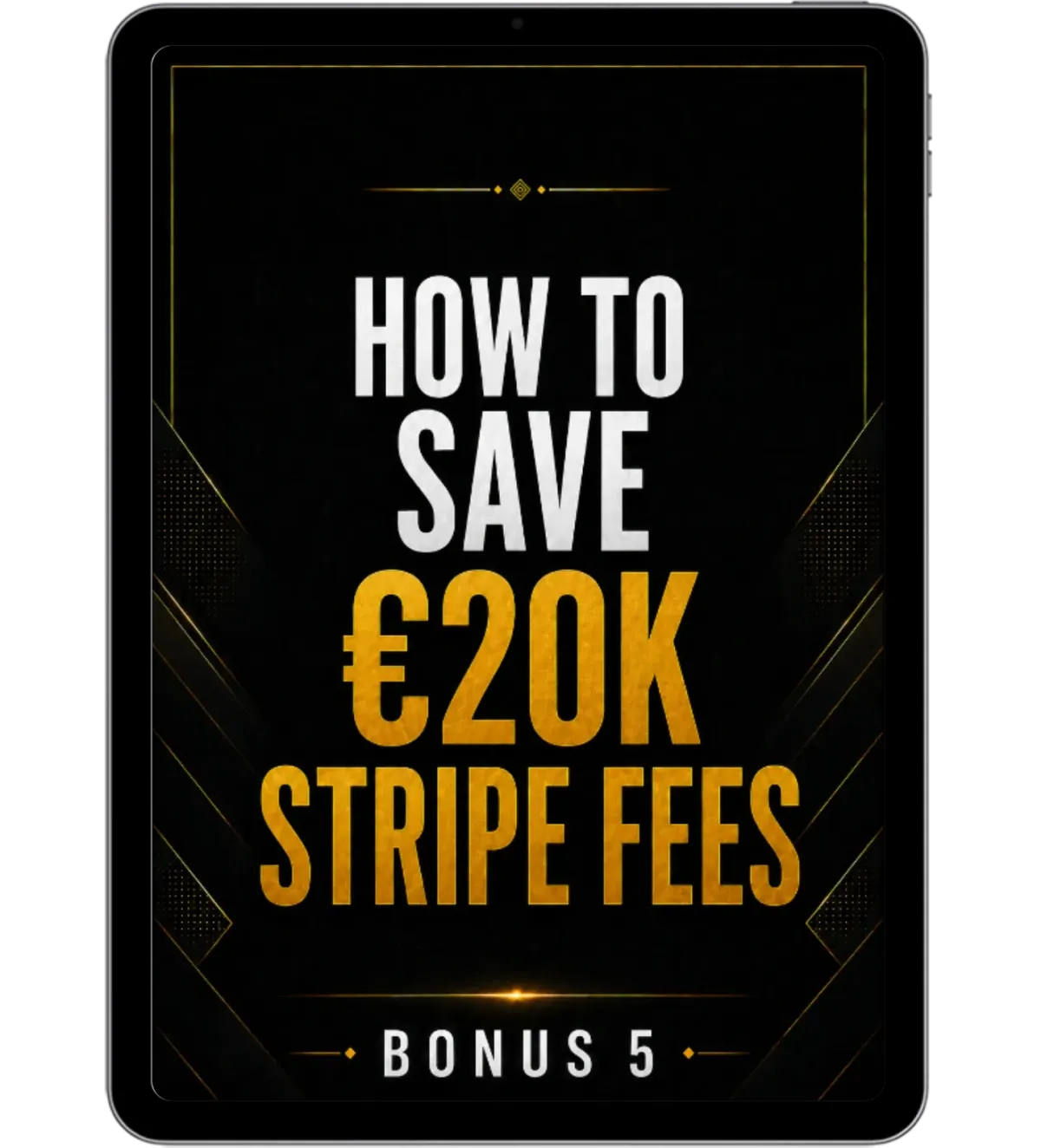Save Stripe Fees